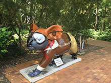 John Flynn’s first koala adoptee, Flynn in the Fountain Garden
